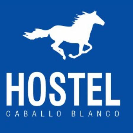 Hostel Caballo Blanco Cartagena エクステリア 写真