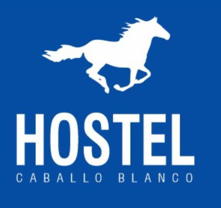 Hostel Caballo Blanco Cartagena エクステリア 写真