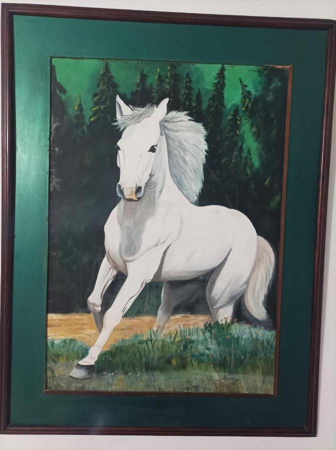 Hostel Caballo Blanco Cartagena エクステリア 写真