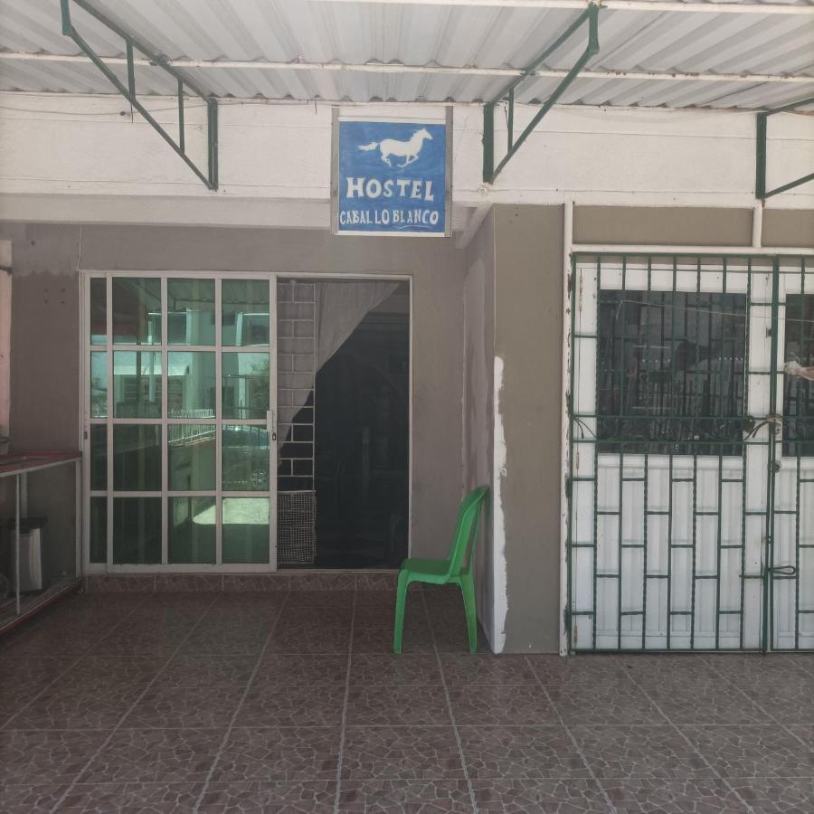 Hostel Caballo Blanco Cartagena エクステリア 写真